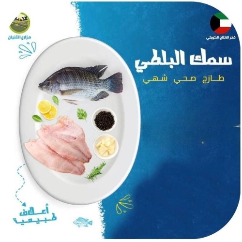 سمك بلطي طازج منظف - 10 كيلو